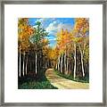 Birch Trees Along The Country Road Framed Print