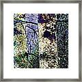 Birch Trees And Water Droplets Framed Print