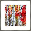 Birch Trees In Fall Framed Print