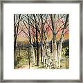 Birch Trees On Canvas Framed Print