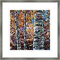 Birch Trees Oil Painting With Palette Knife Framed Print