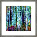 Birch Woods Framed Print