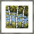 Birches And Bluebells Framed Print