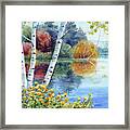 Birches At White Lake In Autumn Framed Print