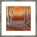 Birches In The Fall Framed Print