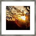 Bird At Sunset Color Framed Print