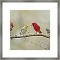 Bird Congregation Framed Print