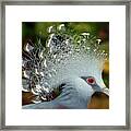Bird In Motion Framed Print