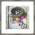 Bird Nest With Blue Bird Eggs Beauty Framed Print