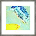 Bird On A Chair Framed Print