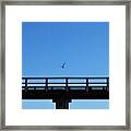 Bird Over Pier Framed Print