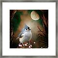 Bird - Titmouse In The Moonlight Framed Print
