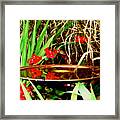 Birdbath Reflections Framed Print