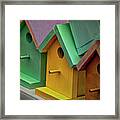 Birdhouses Framed Print