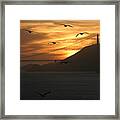 Birds By The Bay Framed Print
