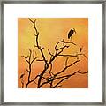 Birds In An African Sunset Framed Print