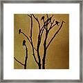 Birds In Tree Framed Print