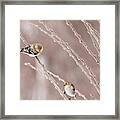 Birds Of A Feather Framed Print