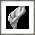 Black And White Calla Lily Framed Print