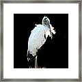 Black And White Framed Print