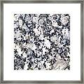 Black And White Polished Granite Abstract Framed Print