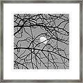 Black And White Moon Framed Print