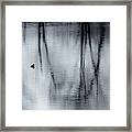 Black And White Reflections Framed Print