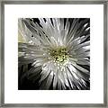 Black And White Framed Print