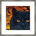 Black Cat And Moon Framed Print