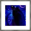 Black Cat Blues Framed Print