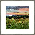 Black Eyed Susan Flowers At Sunset Framed Print