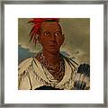 Black Hawk Chief Of The Saux And Fox Tribe Framed Print