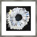 Black Hole Or Is It? Framed Print