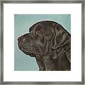 Black Labrador Dog Profile Painting Framed Print