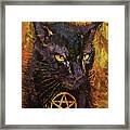 Black Magic Cat Framed Print