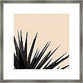 Black Palms On Pale Pink Framed Print
