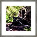 Black Panther Custodian Of Ancient Temple Ruins Framed Print