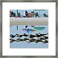 Black Skimmers Enjoying The Beach Framed Print