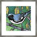 Black Throated Blue Warbler Framed Print