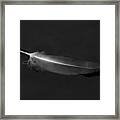 Black Vulture's Feather Floating On Water Framed Print