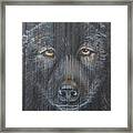Black Wolf Framed Print
