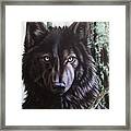 Black Wolf Framed Print