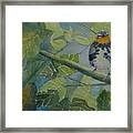 Blackburnian Warbler I Framed Print