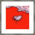 Blood Red Heart Reef Framed Print