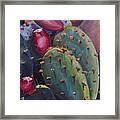 Blooming Cacti Framed Print