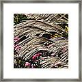 Blowin In The Wind Framed Print