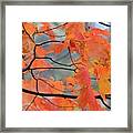 Blowing In The Wind Framed Print