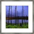 Blue And Green Framed Print