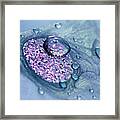 Blue And Purple Abstract Framed Print