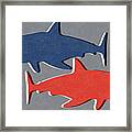 Blue And Red Sharks Framed Print